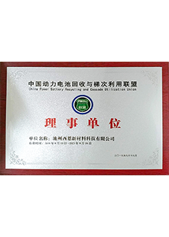 王者荣耀战绩分析